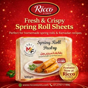 رقائق سبرنج رولز موزريلا فريش ٥٠٠ جرام