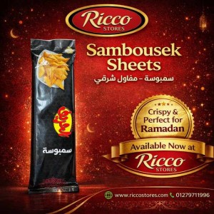 رقائق السمبوسك الحريف ٤٥٠ جرام